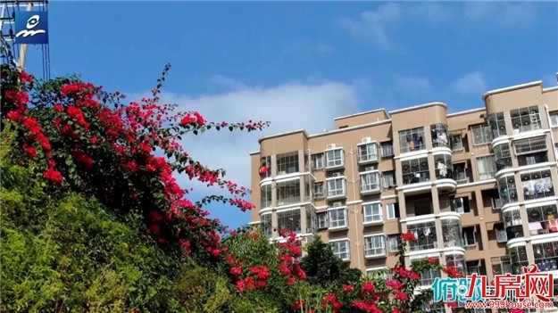 俯瞰漳州谁最美 · 这里是云霄——九房网 俯瞰漳州谁最美 · 这里是云霄——九房网