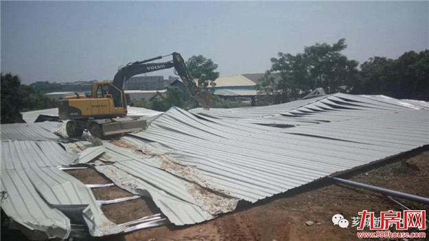 【项目动态】福建（漳州）农产品物流配送中心项目净地交付——九房网