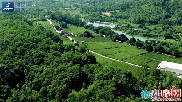 俯瞰漳州谁最美 · 这里是诏安——九房网 俯瞰漳州谁最美 · 这里是诏安——九房网