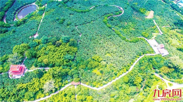 漳州“生态+”等6件入选改革开放40周年“福建影响力”案例——九房网 漳州“生态+”等6件入选改革开放40周年“福建影响力”案例——九房网