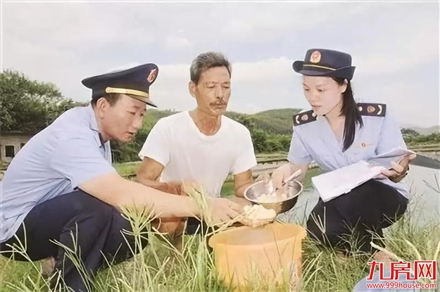 漳州“生态+”等6件入选改革开放40周年“福建影响力”案例——九房网 漳州“生态+”等6件入选改革开放40周年“福建影响力”案例——九房网