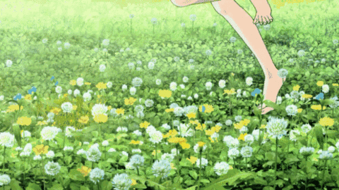 @漳州市民 江滨公园往西 竹园美景邀你来欣赏——九房网 @漳州市民 江滨公园往西 竹园美景邀你来欣赏——九房网