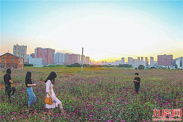 步文街道:绿色征迁开启通源“加速度”——九房网 步文街道:绿色征迁开启通源“加速度”——九房网