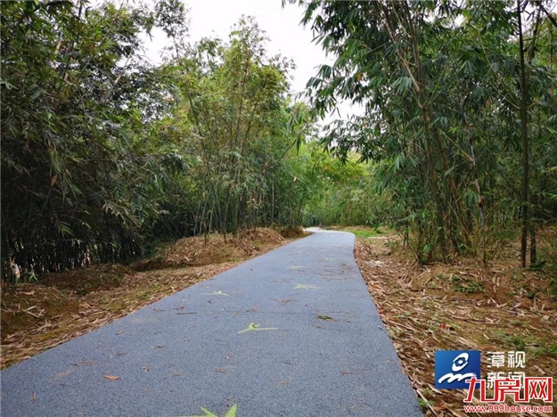 @漳州市民 江滨公园往西 竹园美景邀你来欣赏——九房网 @漳州市民 江滨公园往西 竹园美景邀你来欣赏——九房网