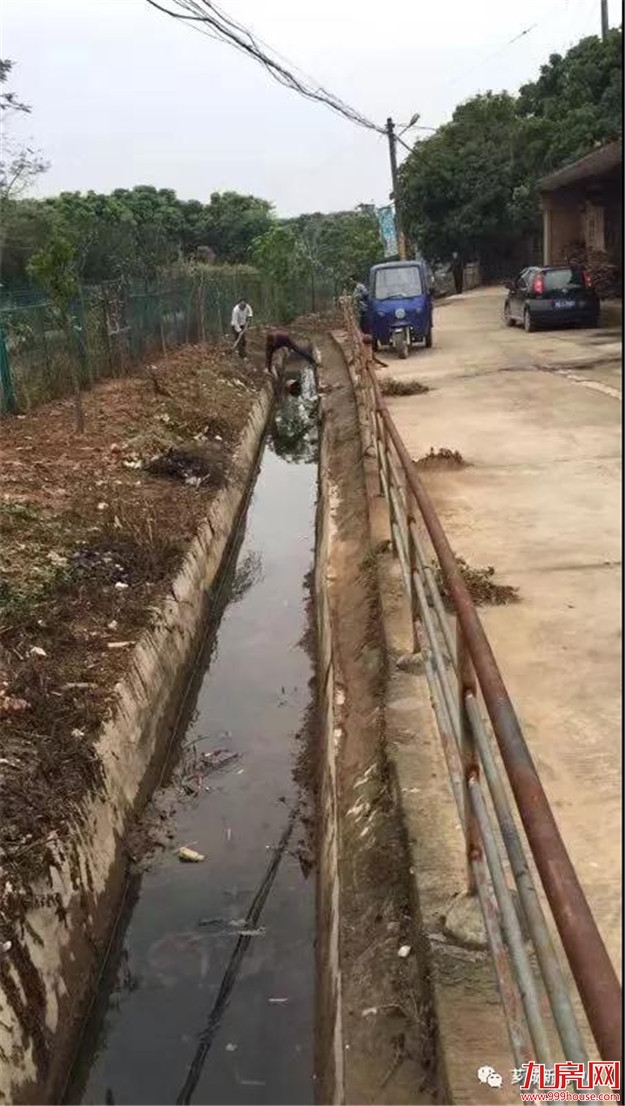 【建设宜居乡镇】芗城：浦南镇掀起人居环境整治热潮——九房网