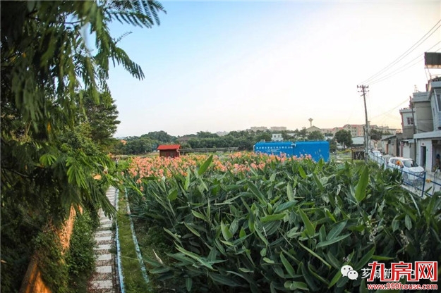 【民心工程】芗城:巩固和提升农村生活污水治理成果——九房网 【民心工程】芗城:巩固和提升农村生活污水治理成果——九房网