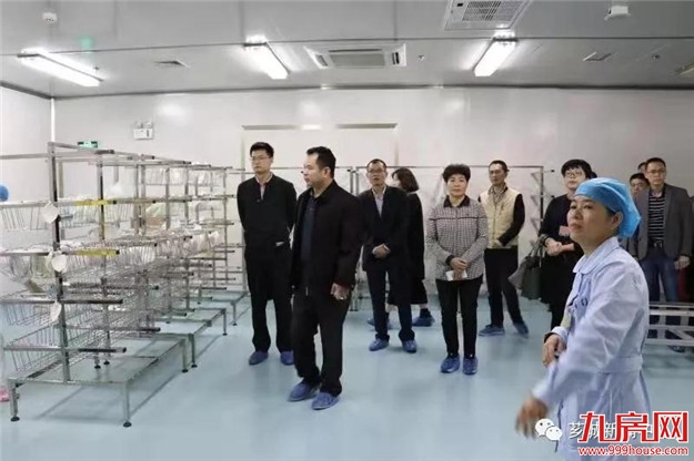 【健全体系】芗城区建立区域医疗服务技术平台＂三大中心＂——九房网