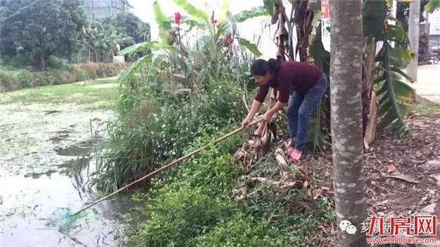 【建设宜居乡镇】芗城：浦南镇掀起人居环境整治热潮——九房网