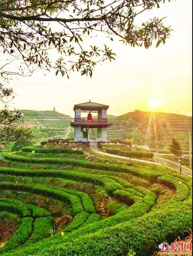 山高人为峰 | 九龙江集团以“生态理念”打造高品位高峰谷景区——九房网 山高人为峰 | 九龙江集团以“生态理念”打造高品位高峰谷景区——九房网