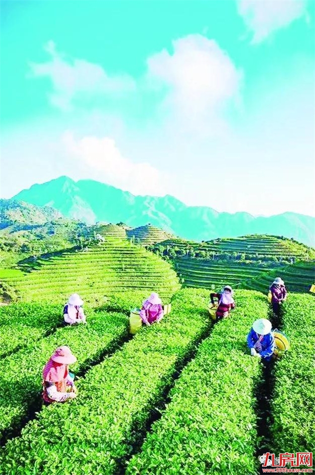 山高人为峰 | 九龙江集团以“生态理念”打造高品位高峰谷景区——九房网 山高人为峰 | 九龙江集团以“生态理念”打造高品位高峰谷景区——九房网