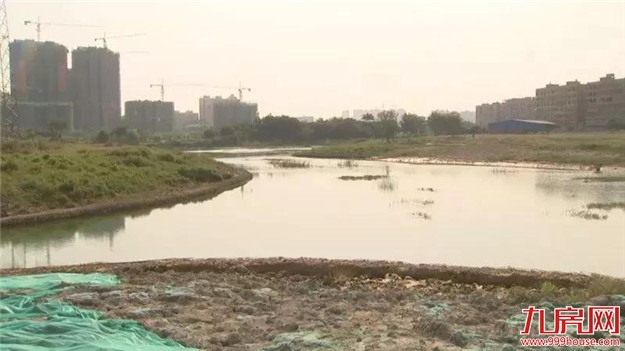 特别关注 | 漳州市实验小学这一校区，选址公示啦！——九房网