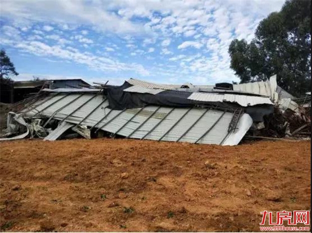 【整治“两违”】拆违治违常态化——九房网 【整治“两违”】拆违治违常态化——九房网