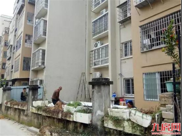 【整治“两违”】拆违治违常态化——九房网 【整治“两违”】拆违治违常态化——九房网