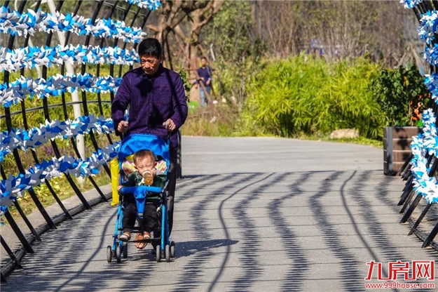 冬日暖阳，这里又热闹了，小伙伴快来晒太阳啦！——九房网