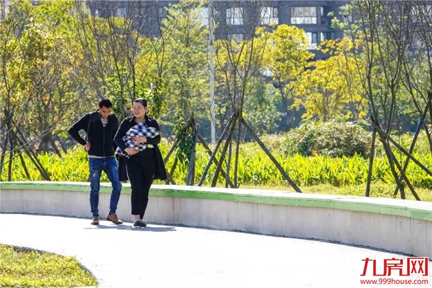 冬日暖阳，这里又热闹了，小伙伴快来晒太阳啦！——九房网