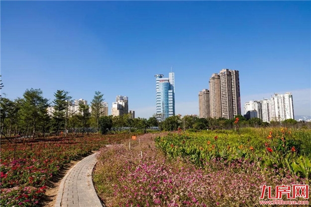 冬日暖阳，这里又热闹了，小伙伴快来晒太阳啦！——九房网