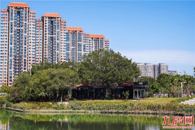 冬日暖阳，这里又热闹了，小伙伴快来晒太阳啦！——九房网