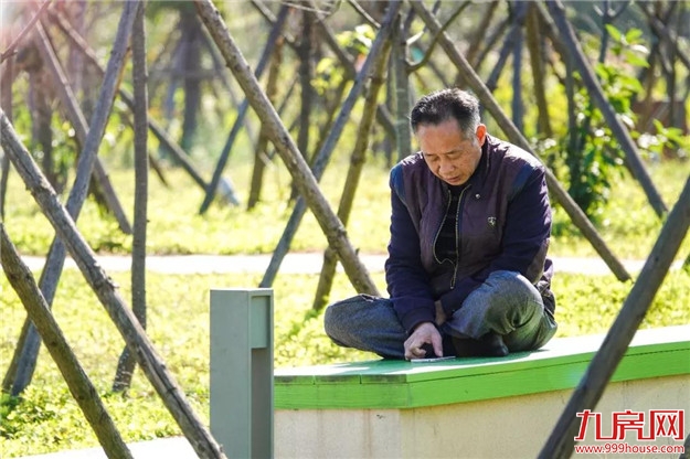 冬日暖阳，这里又热闹了，小伙伴快来晒太阳啦！——九房网