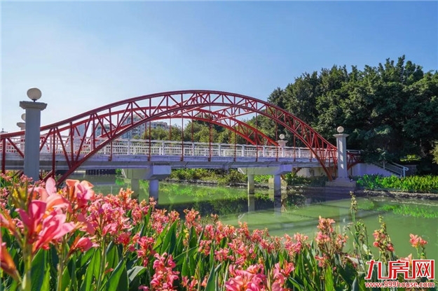 冬日暖阳，这里又热闹了，小伙伴快来晒太阳啦！——九房网