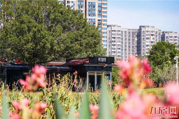 冬日暖阳，这里又热闹了，小伙伴快来晒太阳啦！——九房网