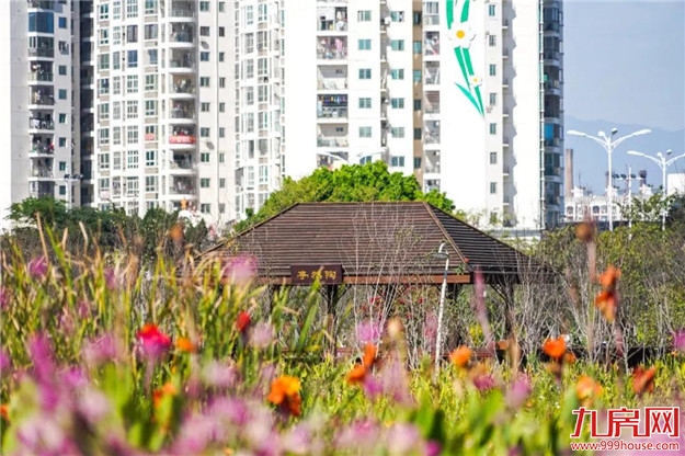 冬日暖阳，这里又热闹了，小伙伴快来晒太阳啦！——九房网