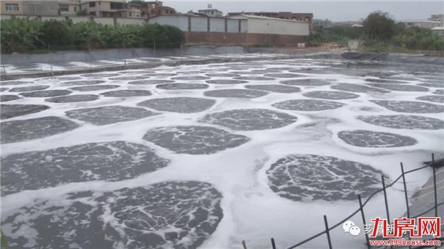 【乡村振兴】下高坑村:整治人居环境 建设宜居乡村——九房网 【乡村振兴】下高坑村:整治人居环境 建设宜居乡村——九房网