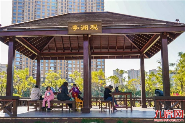 冬日暖阳，这里又热闹了，小伙伴快来晒太阳啦！——九房网