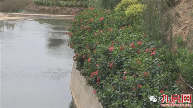 【乡村振兴】下高坑村:整治人居环境 建设宜居乡村——九房网 【乡村振兴】下高坑村:整治人居环境 建设宜居乡村——九房网