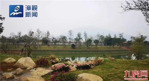 亲，约不？ | 嵌荧光石地面&光绘墙，漳州将开放的这个生态园不错！——九房网