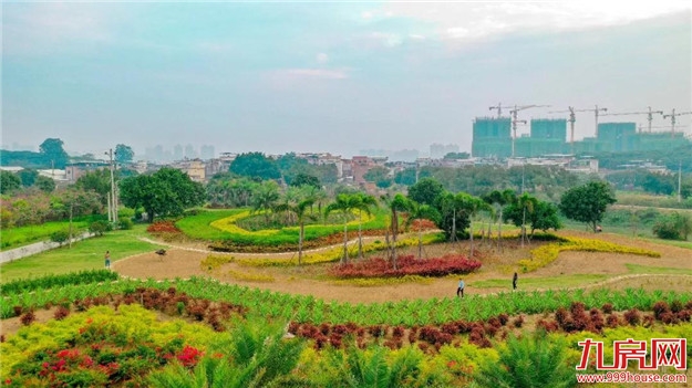 龙文:实现河流保洁巡查全覆盖——九房网 龙文:实现河流保洁巡查全覆盖——九房网