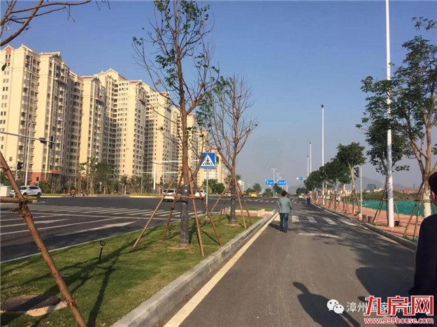 这条道路已竣工验收！可连接厦漳同城大道！——九房网