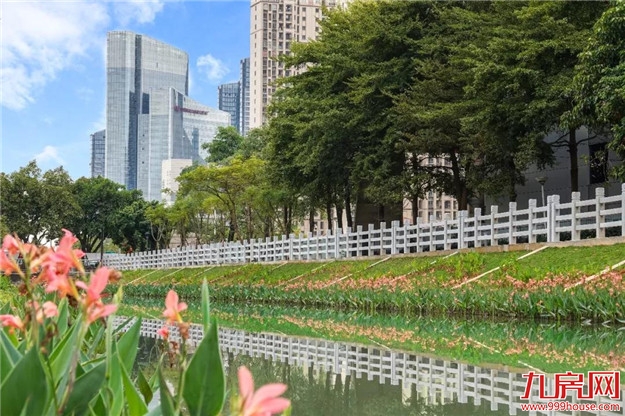 清淤改造显成效！这是你印象中的天亭港吗？大家可以去“压马路”了——九房网