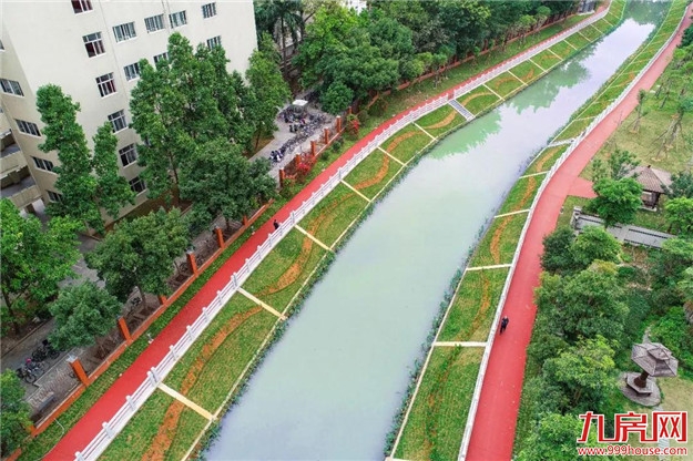 清淤改造显成效！这是你印象中的天亭港吗？大家可以去“压马路”了——九房网