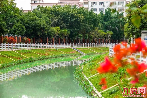 清淤改造显成效！这是你印象中的天亭港吗？大家可以去“压马路”了——九房网