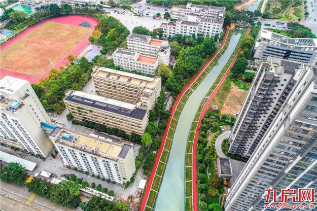 清淤改造显成效！这是你印象中的天亭港吗？大家可以去“压马路”了——九房网