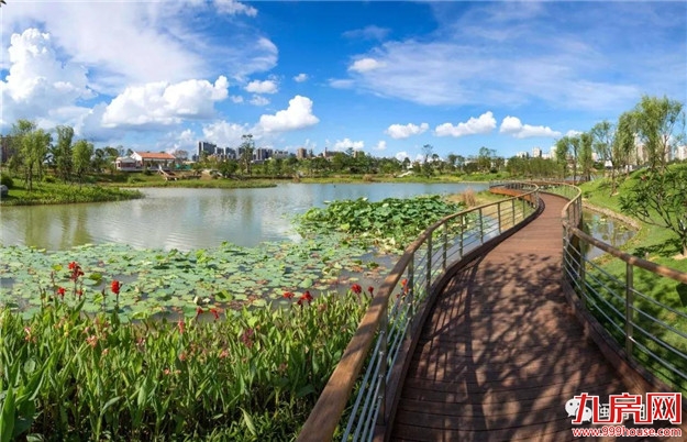 快讯!刚刚,福建省政府工作报告多处点赞漳州——九房网 快讯!刚刚,福建省政府工作报告多处点赞漳州——九房网