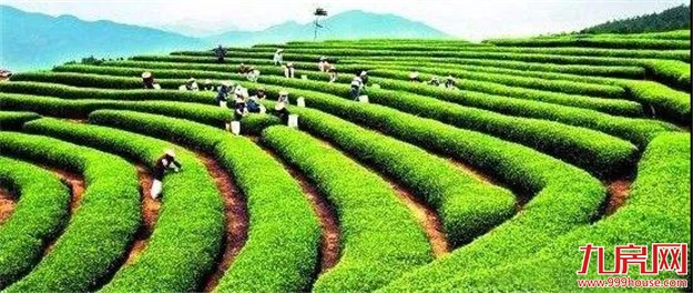 一项国家级名单公示,漳州也有一单位入选!——九房网 一项国家级名单公示,漳州也有一单位入选!——九房网