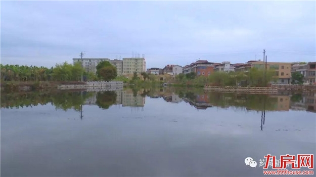 【乡村振兴进行时】语堂故里珠里村：开展裸房整治 改善村居环境——九房网