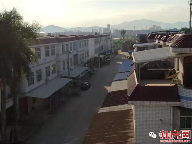 【整治“两违”】拆沿街“两违” 漳州城市西大门焕然一新——九房网 【整治“两违”】拆沿街“两违” 漳州城市西大门焕然一新——九房网