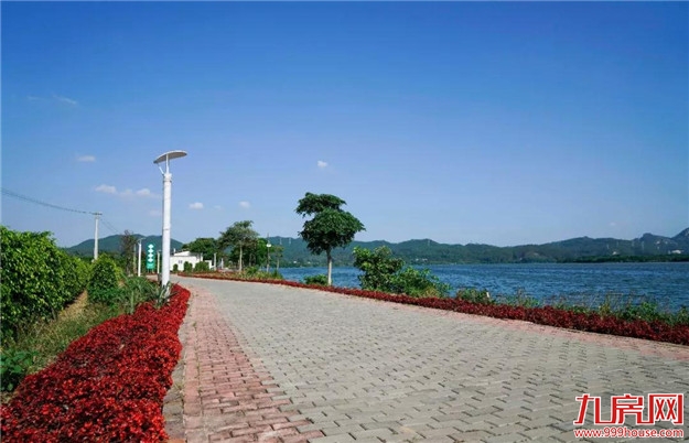 龙文这“六大板块”将迎来利好!——九房网 龙文这“六大板块”将迎来利好!——九房网