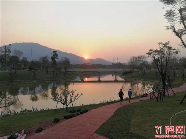 又见碧波 又见绿岸|漳州全力打好城市黑臭水体治理攻坚战——九房网