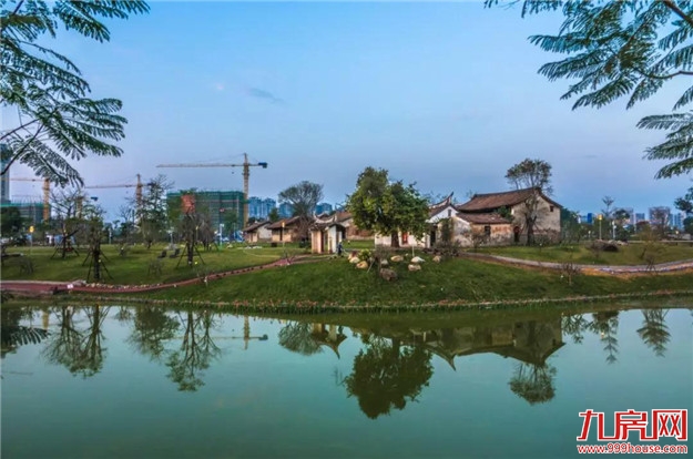 又见碧波 又见绿岸|漳州全力打好城市黑臭水体治理攻坚战——九房网