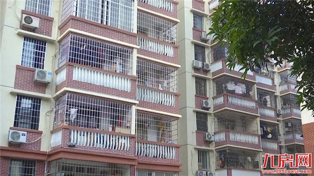 颜值爆表~漳州的这个变化你注意到了吗？——九房网