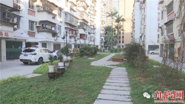 【幸福】无物业小区改造完成 市民幸福感满满——九房网 【幸福】无物业小区改造完成 市民幸福感满满——九房网