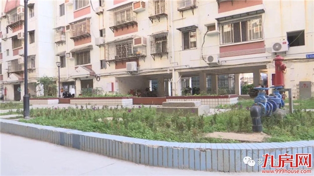 【幸福】无物业小区改造完成 市民幸福感满满——九房网 【幸福】无物业小区改造完成 市民幸福感满满——九房网