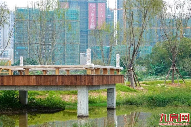 龙文区上美湖又有新进展,美照抢鲜看!——九房网 龙文区上美湖又有新进展,美照抢鲜看!——九房网