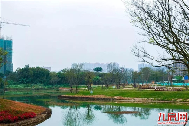 龙文区上美湖又有新进展,美照抢鲜看!——九房网 龙文区上美湖又有新进展,美照抢鲜看!——九房网