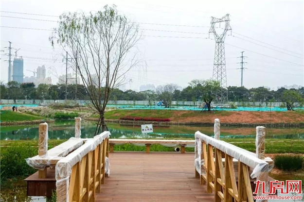 龙文区上美湖又有新进展,美照抢鲜看!——九房网 龙文区上美湖又有新进展,美照抢鲜看!——九房网