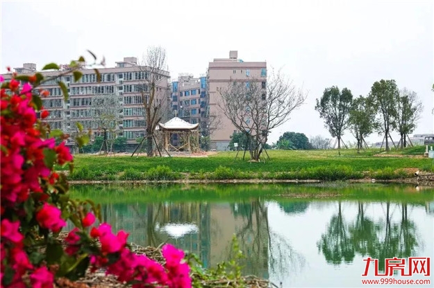 龙文区上美湖又有新进展,美照抢鲜看!——九房网 龙文区上美湖又有新进展,美照抢鲜看!——九房网