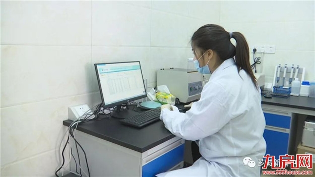 【买菜去】 芗城：持续推进农贸市场改造建设 让市民买菜更舒适——九房网